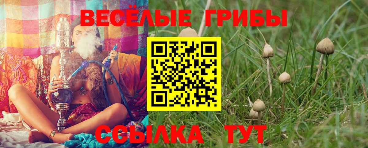 Псилоцибиновые грибы Magic Shrooms  Псилоцибиновые грибы ЛСД  Учалы  Вход с VPN 