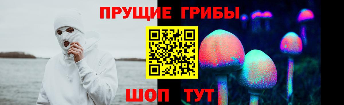 Псилоцибиновые грибы GOLDEN TEACHER Учалы